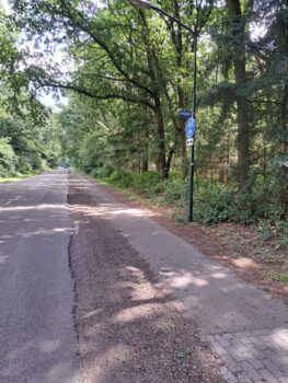 Verkeersveiligheid in de versnelling 